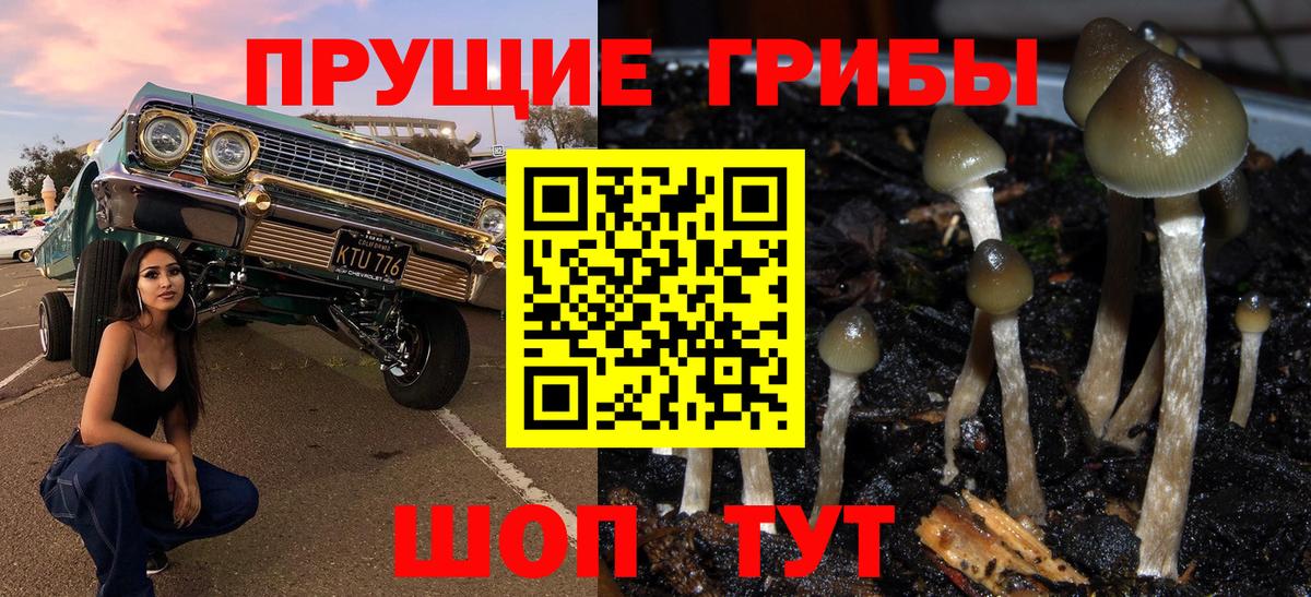 Чебоксары  Псилоцибиновые грибы мухоморы  Псилоцибиновые грибы мухоморы  магазин продажи   Вход с VPN 
