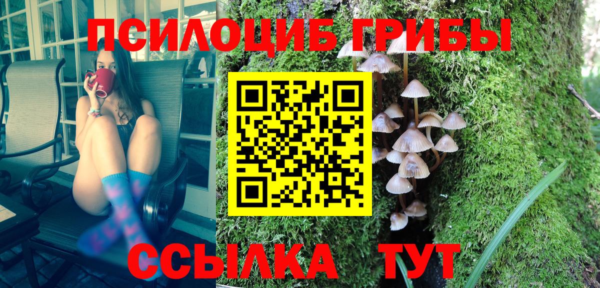 Галлюциногенные грибы GOLDEN TEACHER Чебоксары